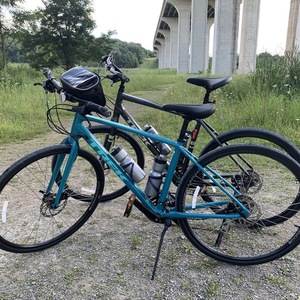 Trek Verve 2 Silver, gray or bare metal
