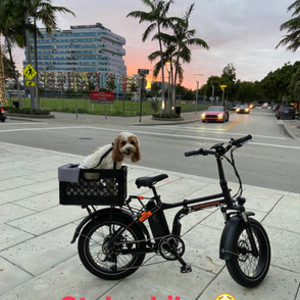 2021 Rad Power Bikes Mini 4 HT with motor Black