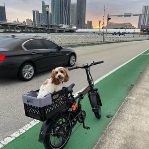 2021 Rad Power Bikes Mini 4 HT with motor Black
