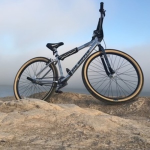 2020 SE Bikes Silver, gray or bare metal