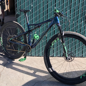 2021 Specialized Epic Blue and Green