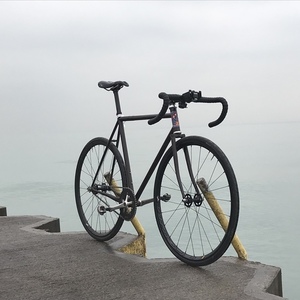 Surly Steamroller Brown