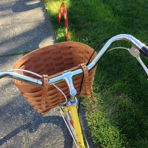 1972 Schwinn Breeze Yellow or Gold