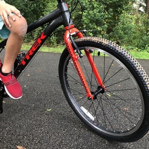 2020 Trek Wahoo Silver, gray or bare metal