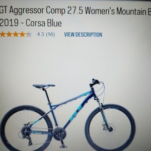 2019 GT Bicycles Aggressor Blue and Purple