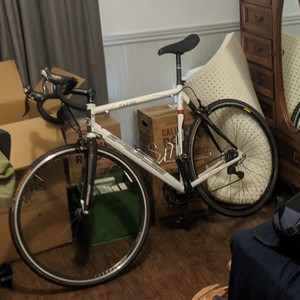 Fuji Roubaix White