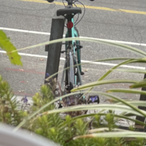 2021 Cannondale 700 F Quick Disc 3 TRQ SM Teal