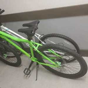 2021 Genesis Green