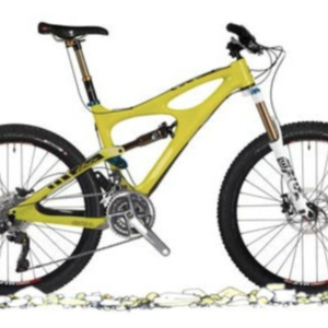 Ibis Yellow or Gold