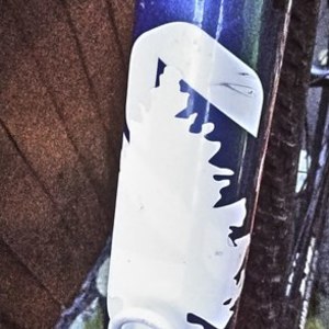 2016 Liv Brava SLR Blue and Pink