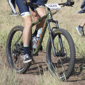 2019 Salsa Timberjack Green