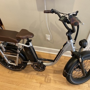 2021 Rad Power Bikes Rad Runner Plus Silver, gray or bare metal
