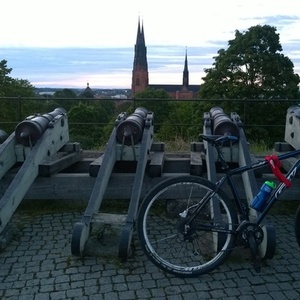 2012 GW Ocelot Black and Blue