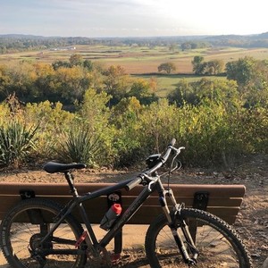 2000 Santa Cruz Chameleon Silver, gray or bare metal