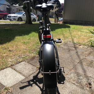 2020 Rad Power Bikes RADMINI 4 Black