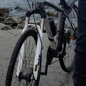 2014 Jamis Durango 29 Comp Silver, gray or bare metal and White