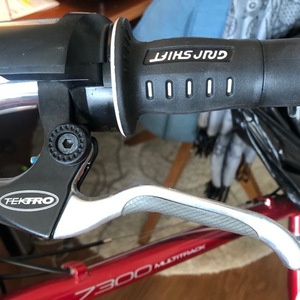 Trek 7300 Red