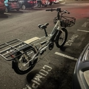 2021 Rad Power Bikes RAD POWER WAGON White