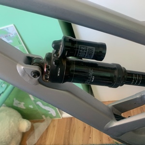 2021 YT Capra Silver, gray or bare metal