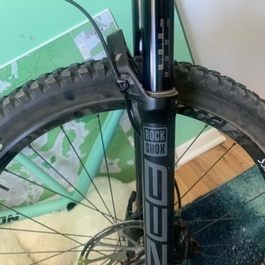 2021 YT Capra Silver, gray or bare metal