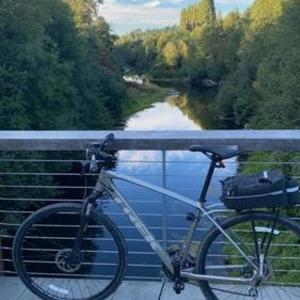 2019 Trek Dual Sport 2 Silver, gray or bare metal