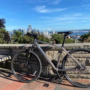 2019 Trek Dual Sport 2 Silver, gray or bare metal
