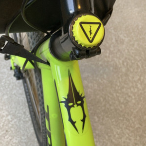 2019 Trek FX 2 Disc Yellow or Gold and Black