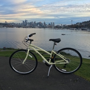 2013 Marin Bikes Bridgeway White