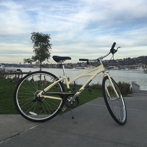2013 Marin Bikes Bridgeway White