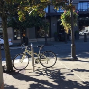 2013 Marin Bikes Bridgeway White