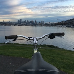 2013 Marin Bikes Bridgeway White