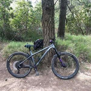 2020 Nukeproof Scout Silver, gray or bare metal