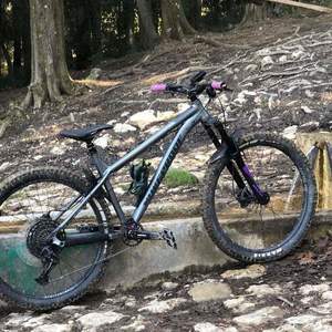 2020 Nukeproof Scout Silver, gray or bare metal
