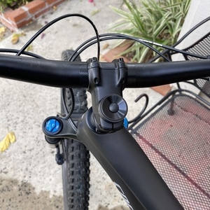 2021 Specialized Stumpjumper Black