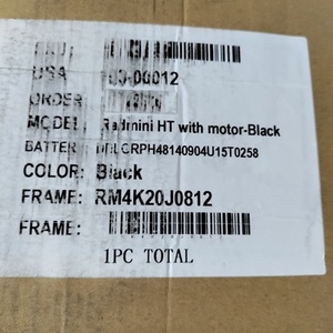 2021 Rad Power Bikes Radmini 4 Black