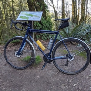 2020 Breadwinner B-Road Blue