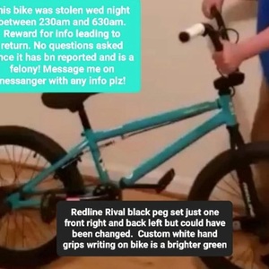 2018 Redline Rival 20 Teal