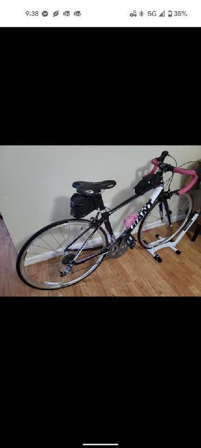 giant composite frame