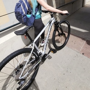 2019 Cannondale Silver, gray or bare metal