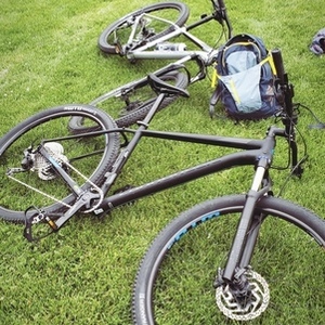 2019 Cannondale Silver, gray or bare metal