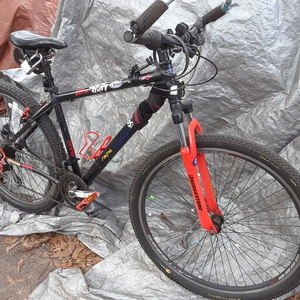 2015 Genesis GS29 Black and Orange