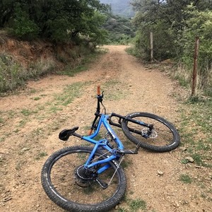 2019 Giant TRANCE 2 Blue