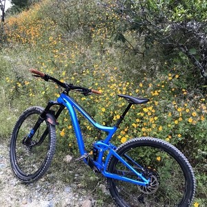 2019 Giant TRANCE 2 Blue