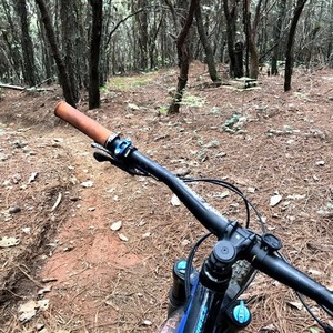 2019 Giant TRANCE 2 Blue