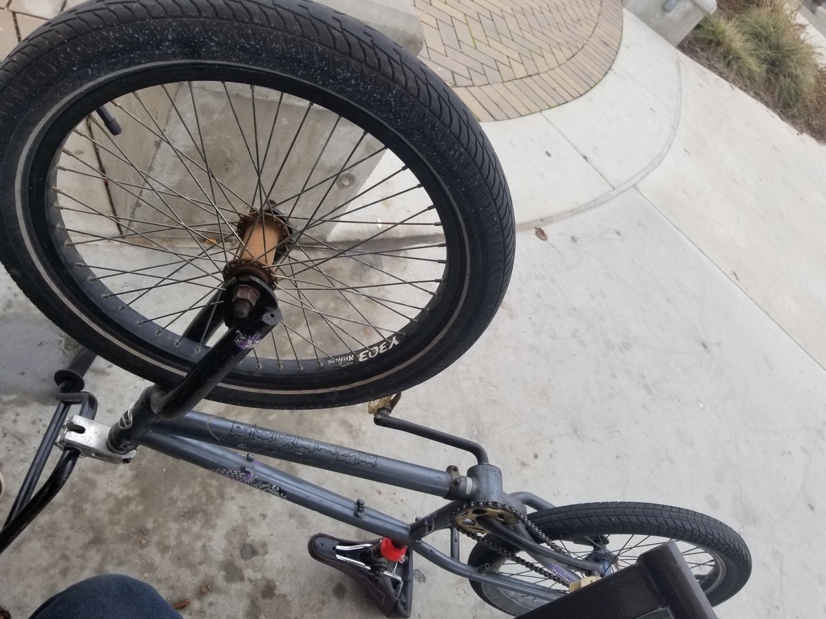 Bike photo
