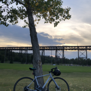 Norco Bikes SECTION A2 Silver, gray or bare metal