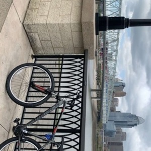 Schwinn standpoint Silver, gray or bare metal