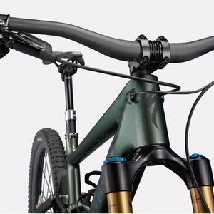 2021 Specialized Kenevo S-Works 29 Oak Green Green