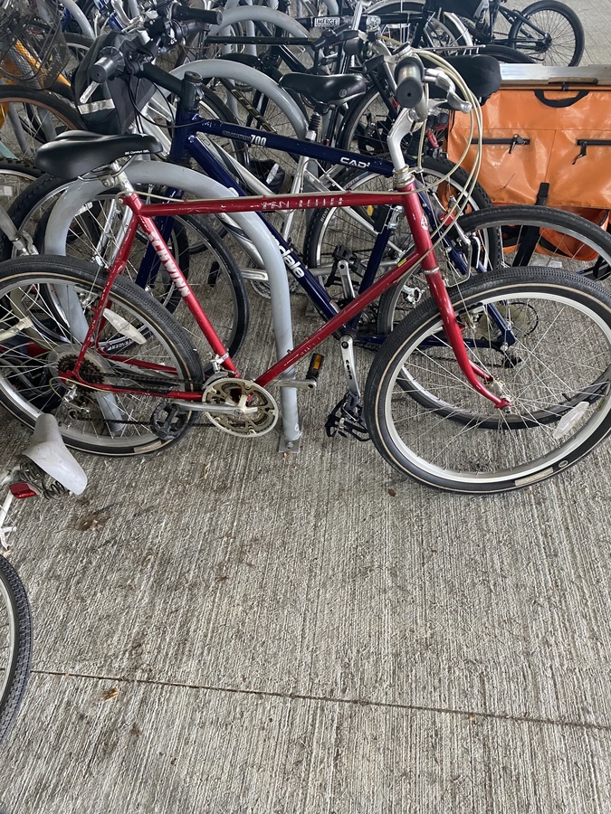 Bike photo