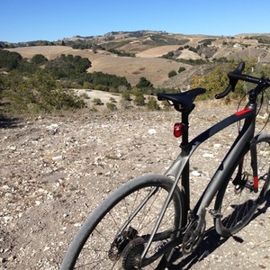 2015 Specialized Diverge Carbon Expert Silver or Gray